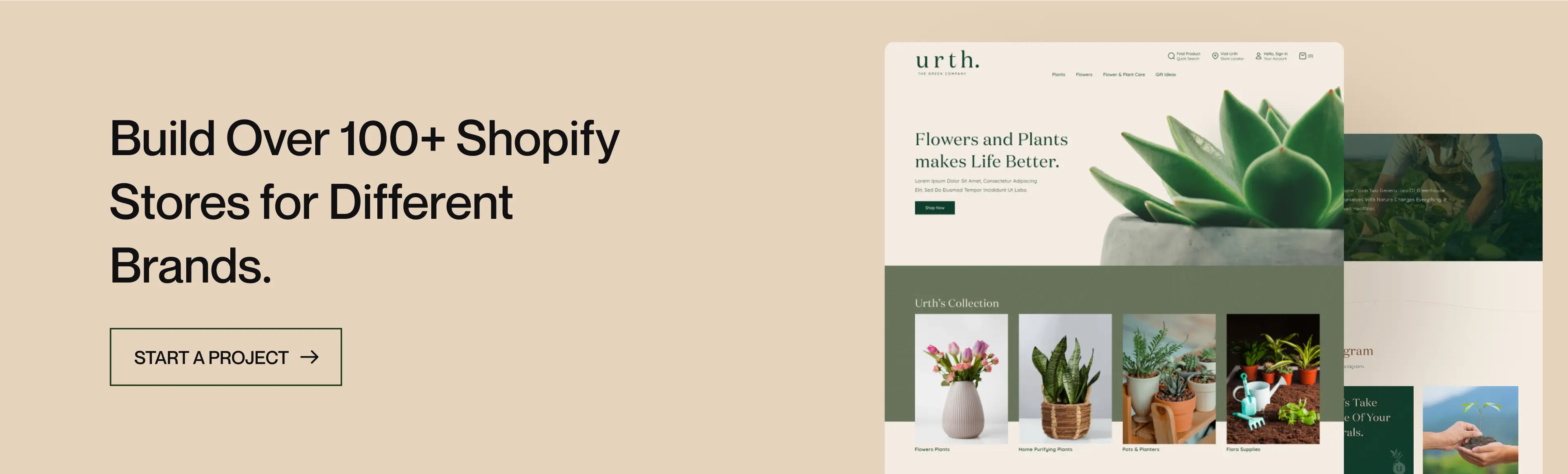 Shopify store design and development